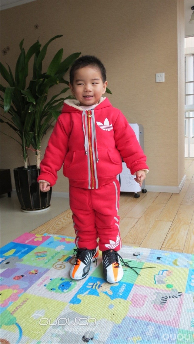 中端小白菜,白橙配色