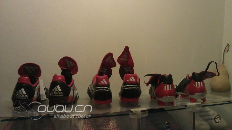 猎鹰归巢~~可叹鹰雄无 用武之地!