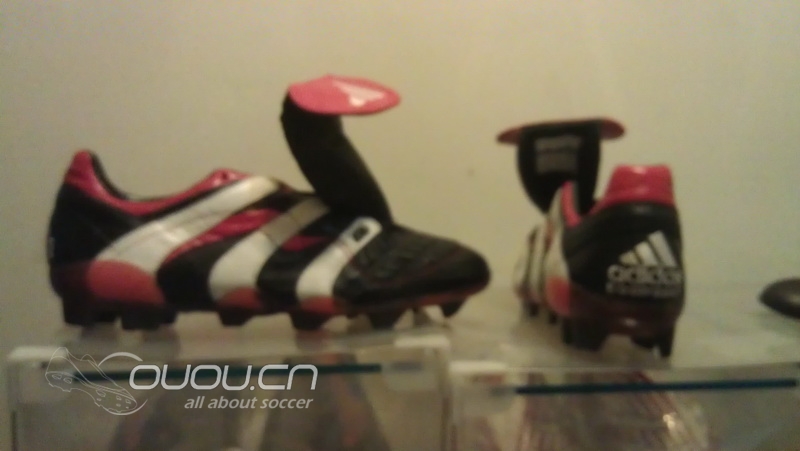 猎鹰归巢~~可叹鹰雄无 用武之地!