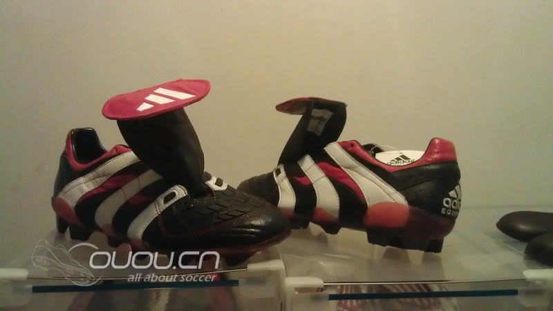 猎鹰归巢~~可叹鹰雄无 用武之地!