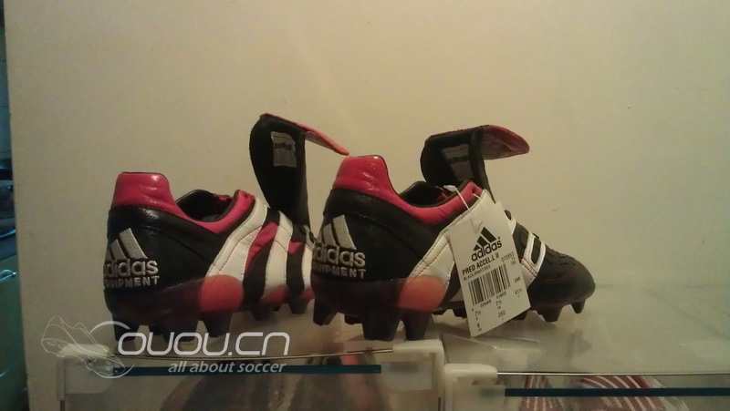 猎鹰归巢~~可叹鹰雄无 用武之地!