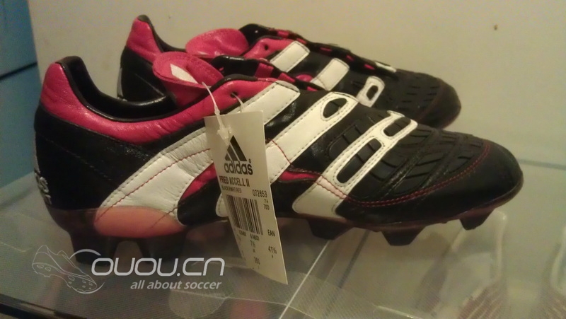 猎鹰归巢~~可叹鹰雄无 用武之地!