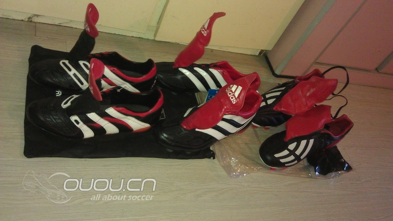 猎鹰归巢~~可叹鹰雄无 用武之地!