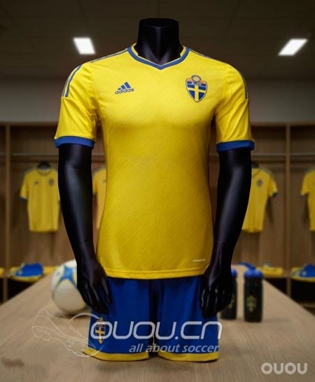 看到英格兰发布了新球衣,发个瑞典明年新球衣