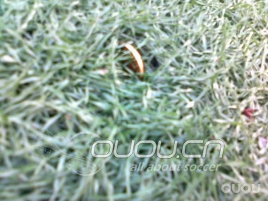 我们学校的场地 不知道算啥等级