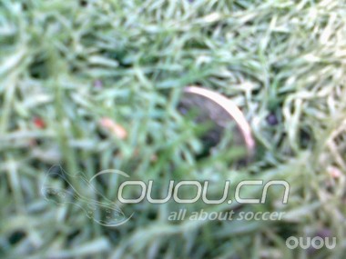 我们学校的场地 不知道算啥等级