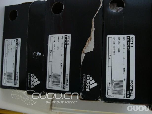 谁说北京没有超级大白菜???