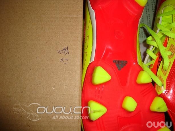 谁说北京没有超级大白菜???