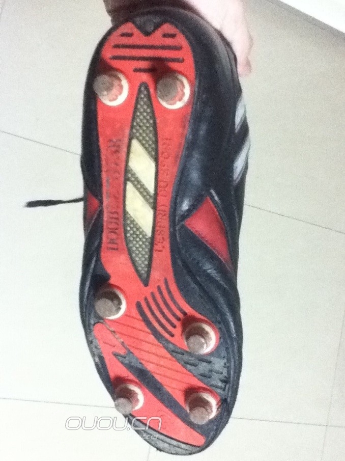 曾为她绝食过,你懂得