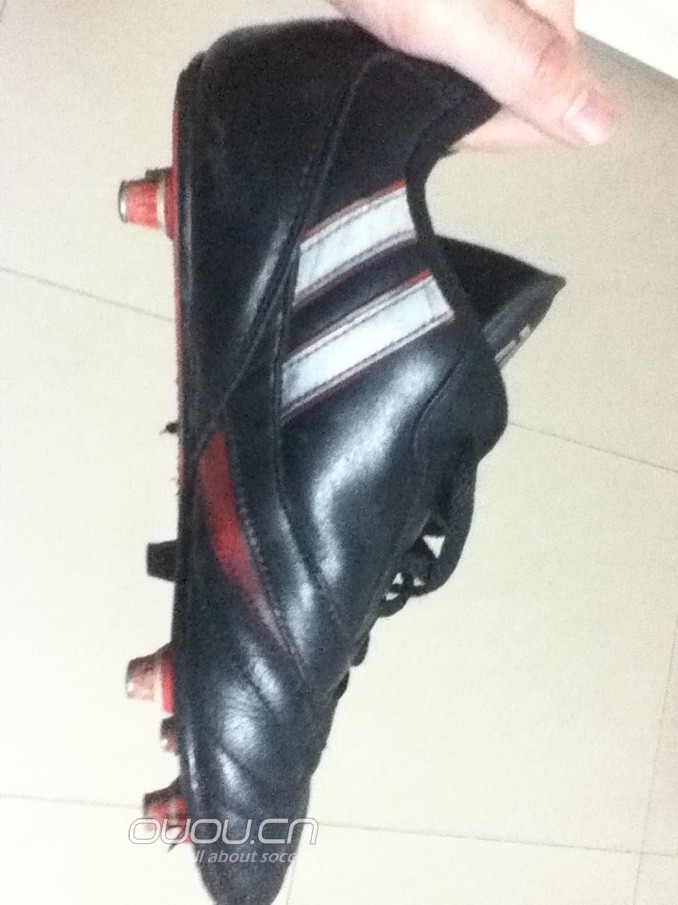 曾为她绝食过,你懂得