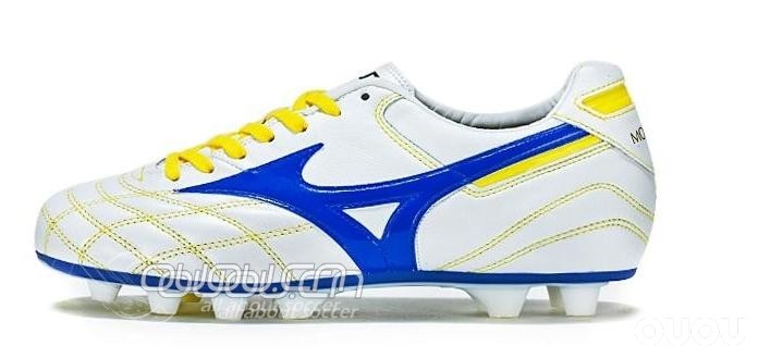 morelia各系列的构成