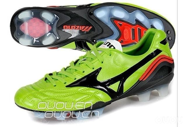 morelia各系列的构成