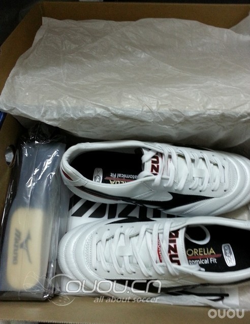 我的莫雷拉也到了