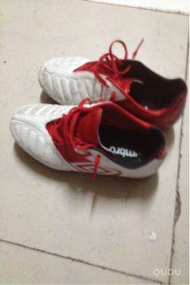 收到的这双鞋茵宝袋鼠皮的