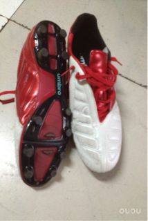 收到的这双鞋茵宝袋鼠皮的