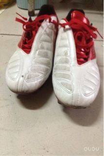 收到的这双鞋茵宝袋鼠皮的