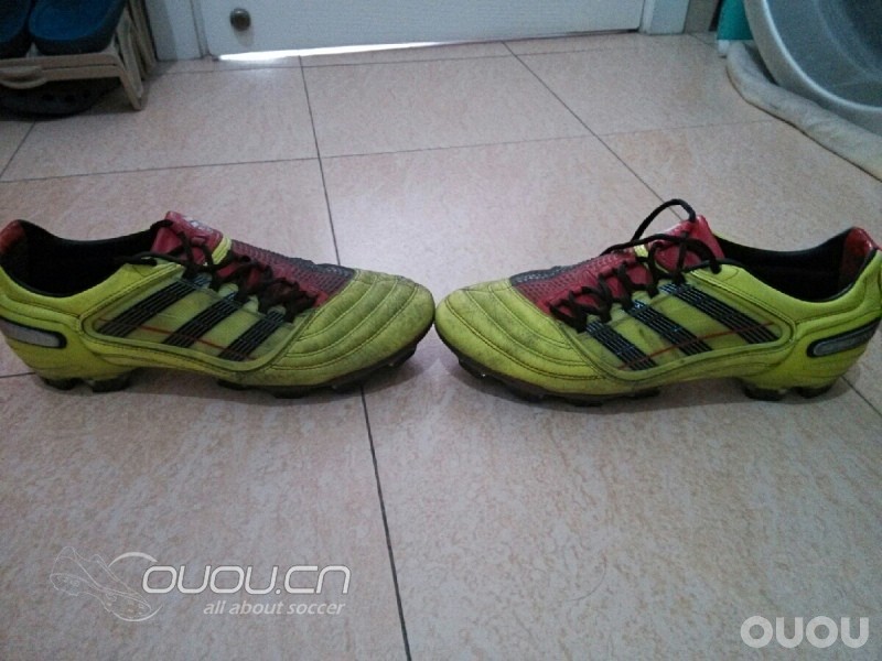 周末随笔,今日猎Ⅹ实战归来有感