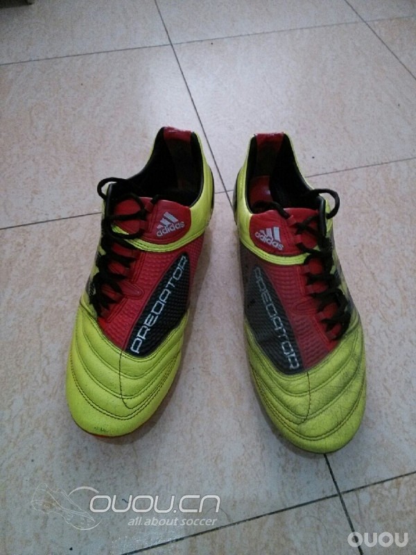 周末随笔,今日猎Ⅹ实战归来有感