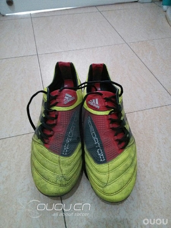 周末随笔,今日猎Ⅹ实战归来有感