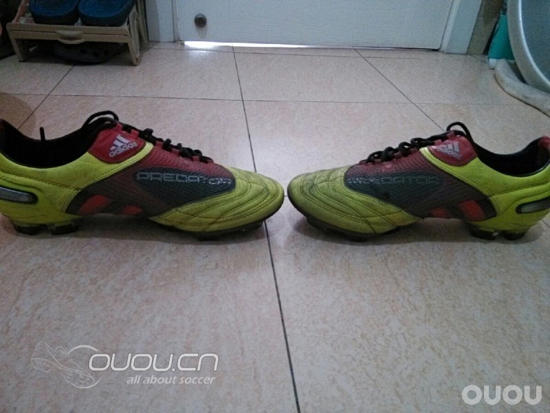 周末随笔,今日猎Ⅹ实战归来有感