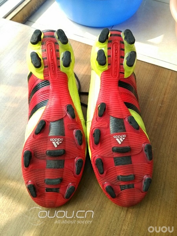 周末随笔,今日猎Ⅹ实战归来有感