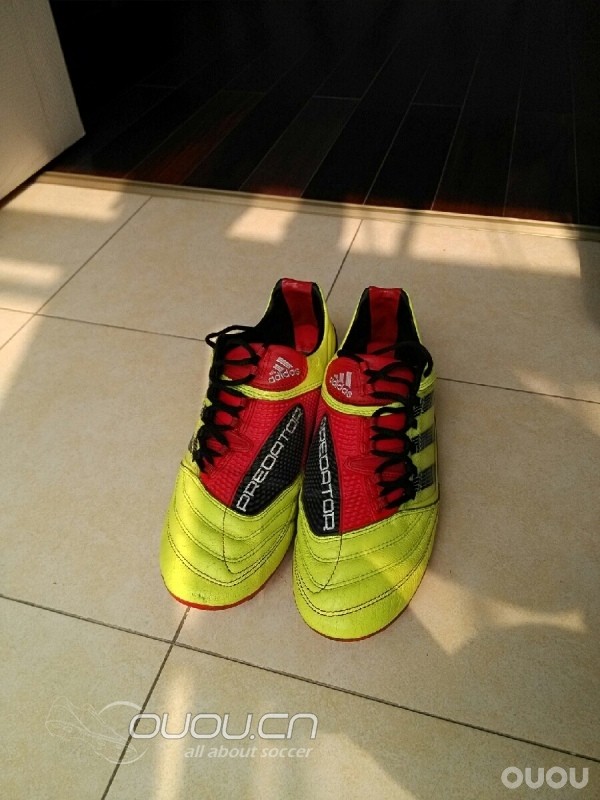 周末随笔,今日猎Ⅹ实战归来有感