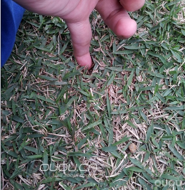 【新人求答】场地鞋钉问题