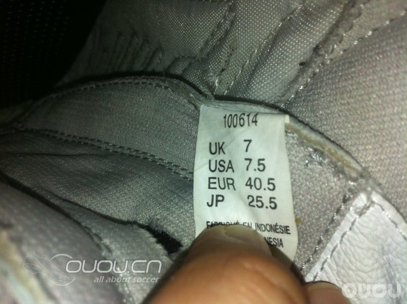 4大经典 IC 齐集 (更新Morelia IN)