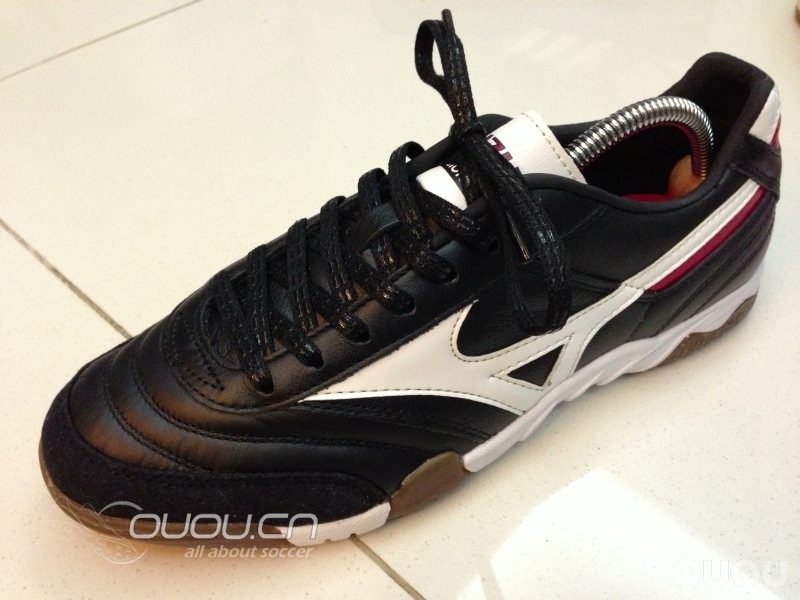 4大经典 IC 齐集 (更新Morelia IN)