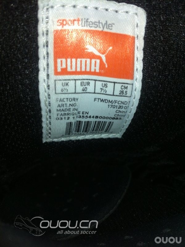 4大经典 IC 齐集 (更新Morelia IN)