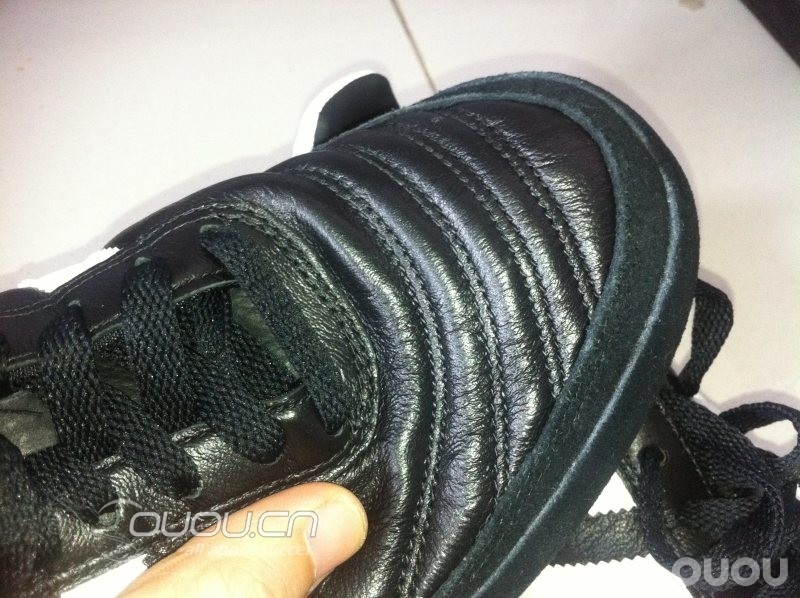 4大经典 IC 齐集 (更新Morelia IN)