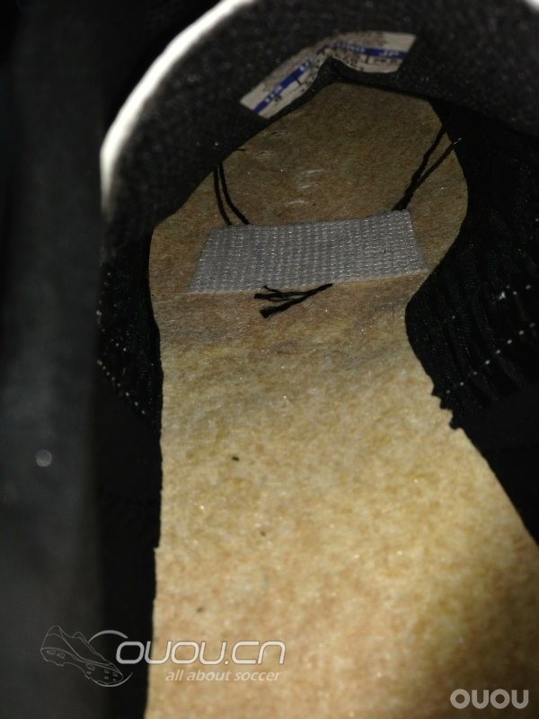 4大经典 IC 齐集 (更新Morelia IN)