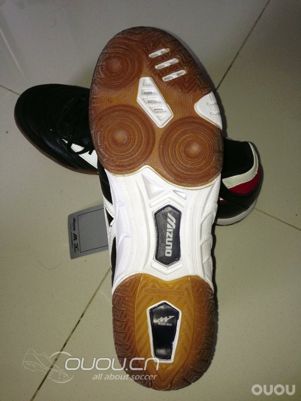 4大经典 IC 齐集 (更新Morelia IN)