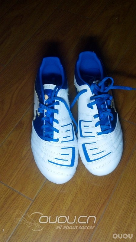 入手 powercat 2.12