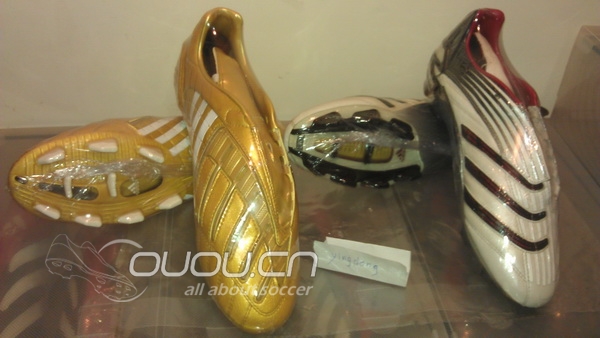 收藏的猎鹰 在增加!