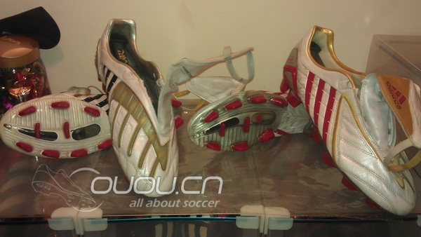 收藏的猎鹰 在增加!