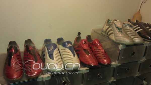 收藏的猎鹰 在增加!