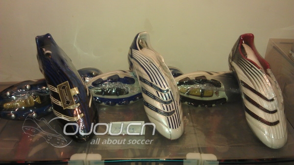 收藏的猎鹰 在增加!