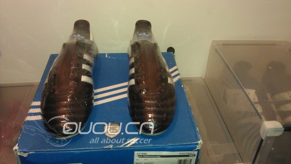 收藏的猎鹰 在增加!