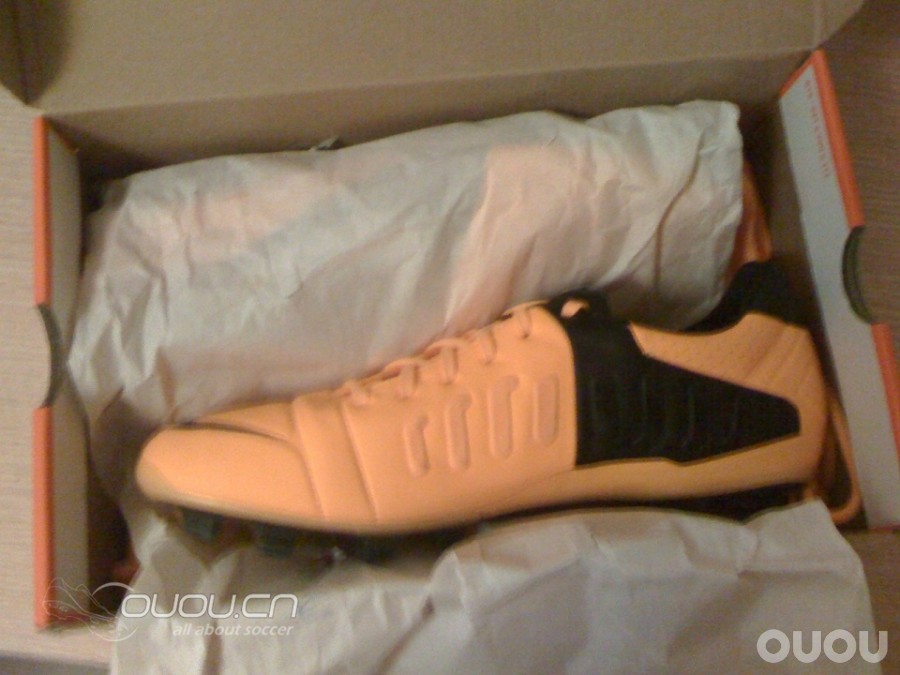 一口气收了CTR3黑橘HG和CTR2最热配色的ELITE,直接TMD穷了