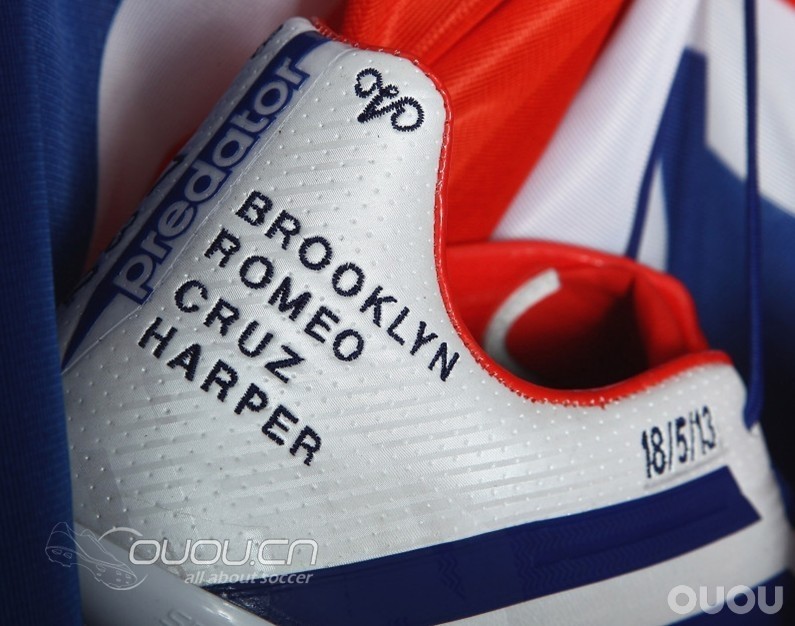 最漂亮的猎鹰,也是最让人伤感的猎鹰