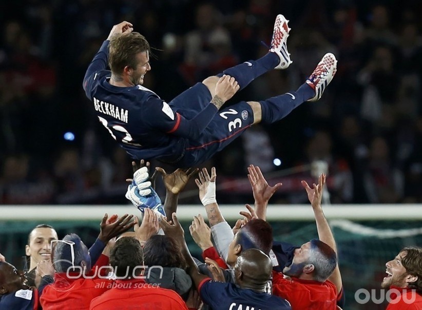 最漂亮的猎鹰,也是最让人伤感的猎鹰