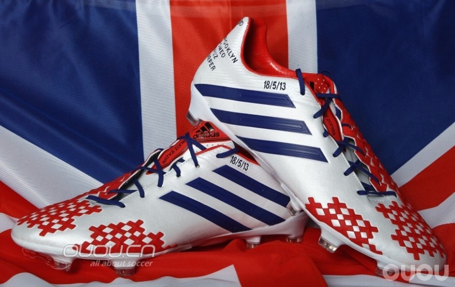 最漂亮的猎鹰,也是最让人伤感的猎鹰