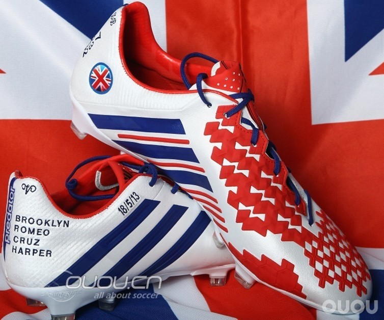 最漂亮的猎鹰,也是最让人伤感的猎鹰