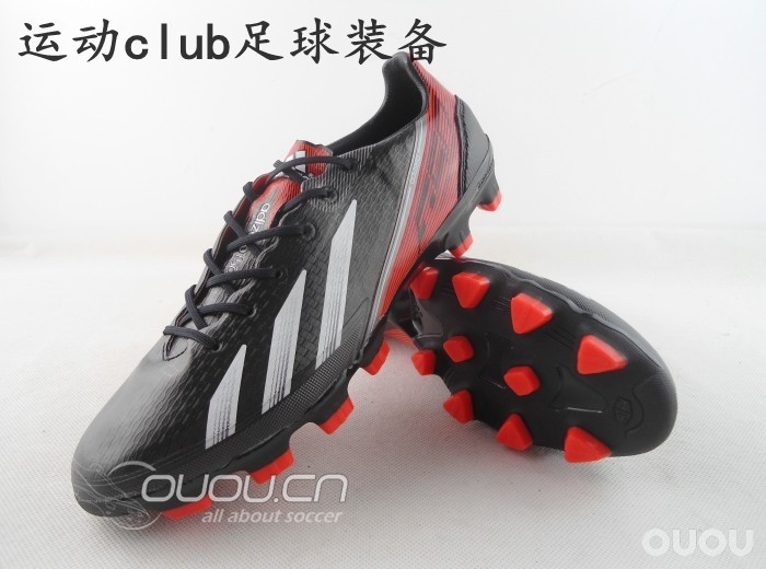 最新到货的几个F50的新品种