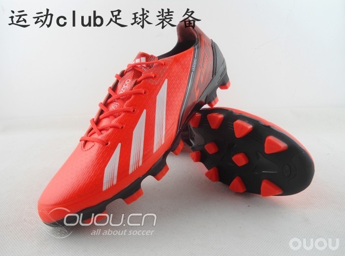 最新到货的几个F50的新品种