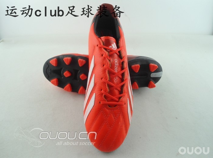 最新到货的几个F50的新品种