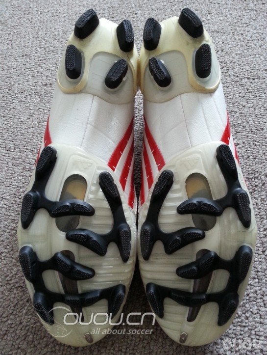 淘到一双无"翼"之鹰