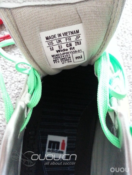 淘到一双无"翼"之鹰