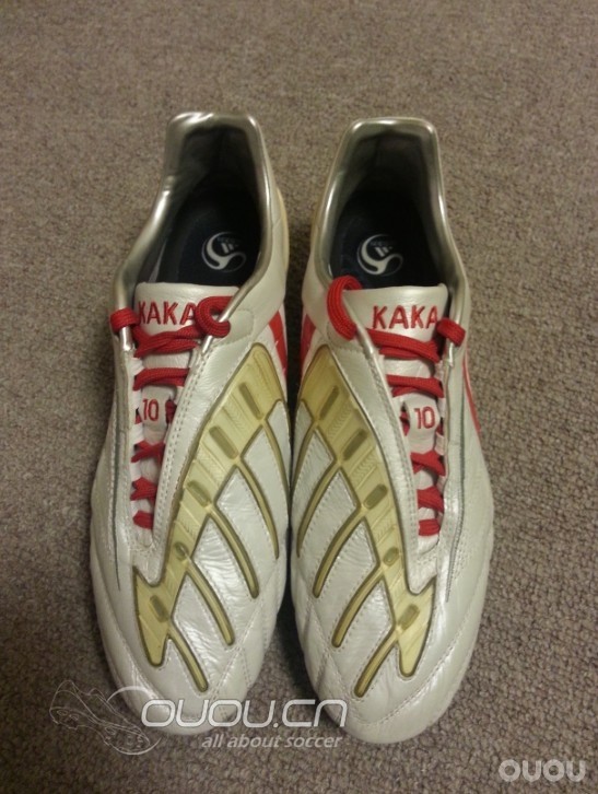 淘到一双无"翼"之鹰